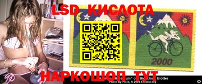 крисы Моздок