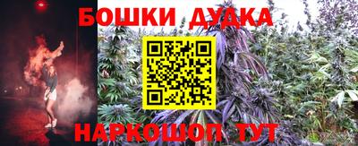 крисы Моздок