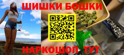 крисы Моздок