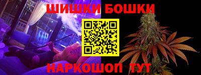 крисы Моздок