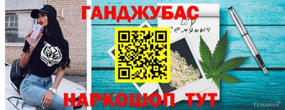 крисы Моздок