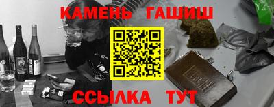 крисы Моздок